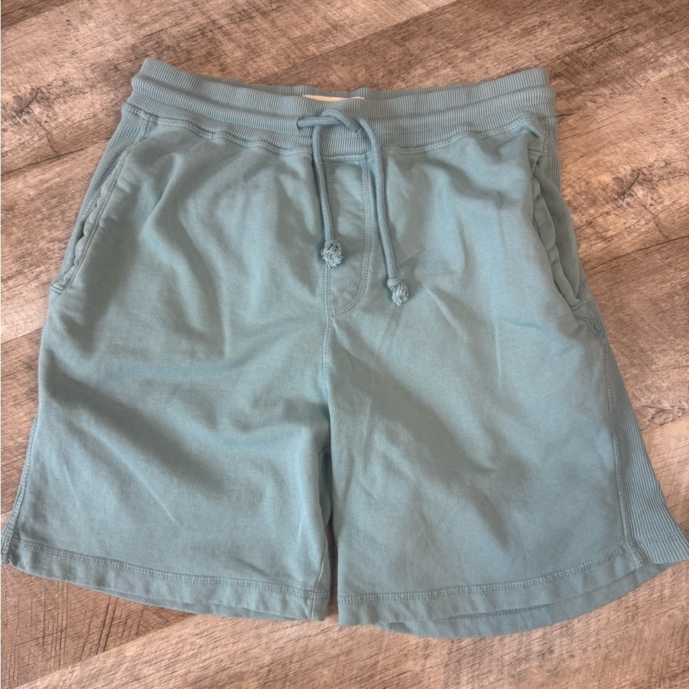Free Planet size 32 sea foam green cotton shorts, drawstring